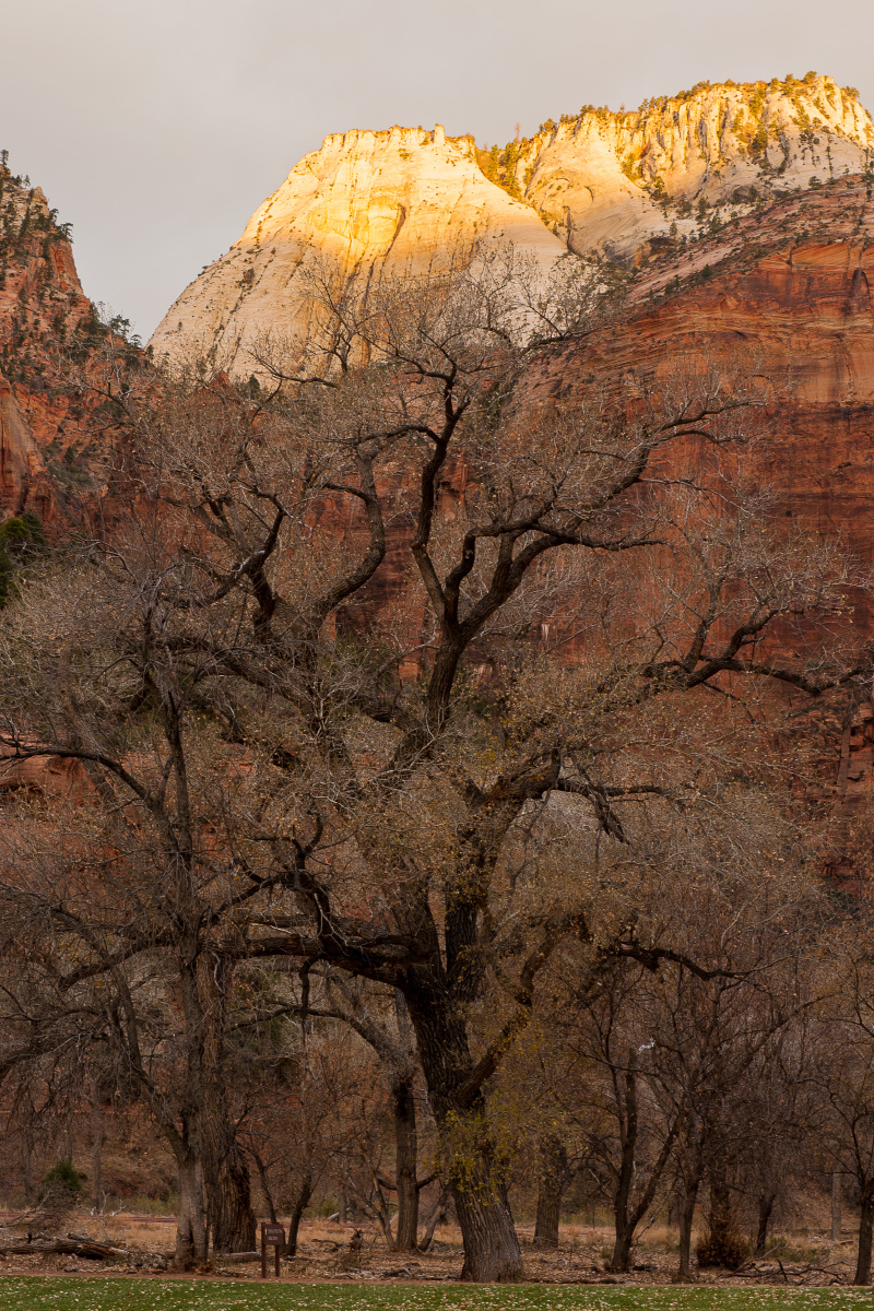 xpmod手机版(xpmod安卓手机中文版)-第2张图片-QuickQ官网 xpmod手机版(xpmod安卓手机中文版)-第2张图片-QuickQ官网