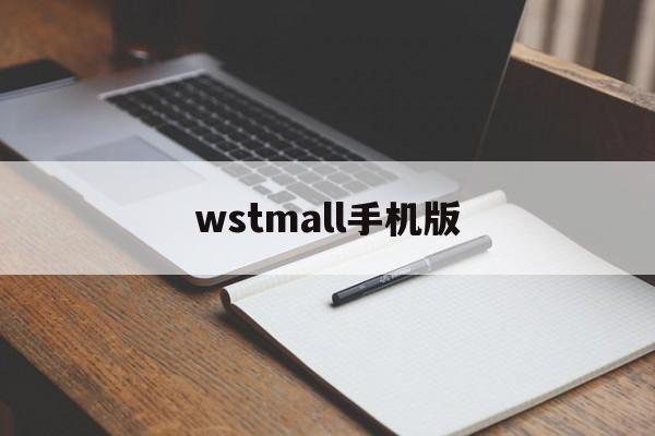 wstmall手机版的简单介绍