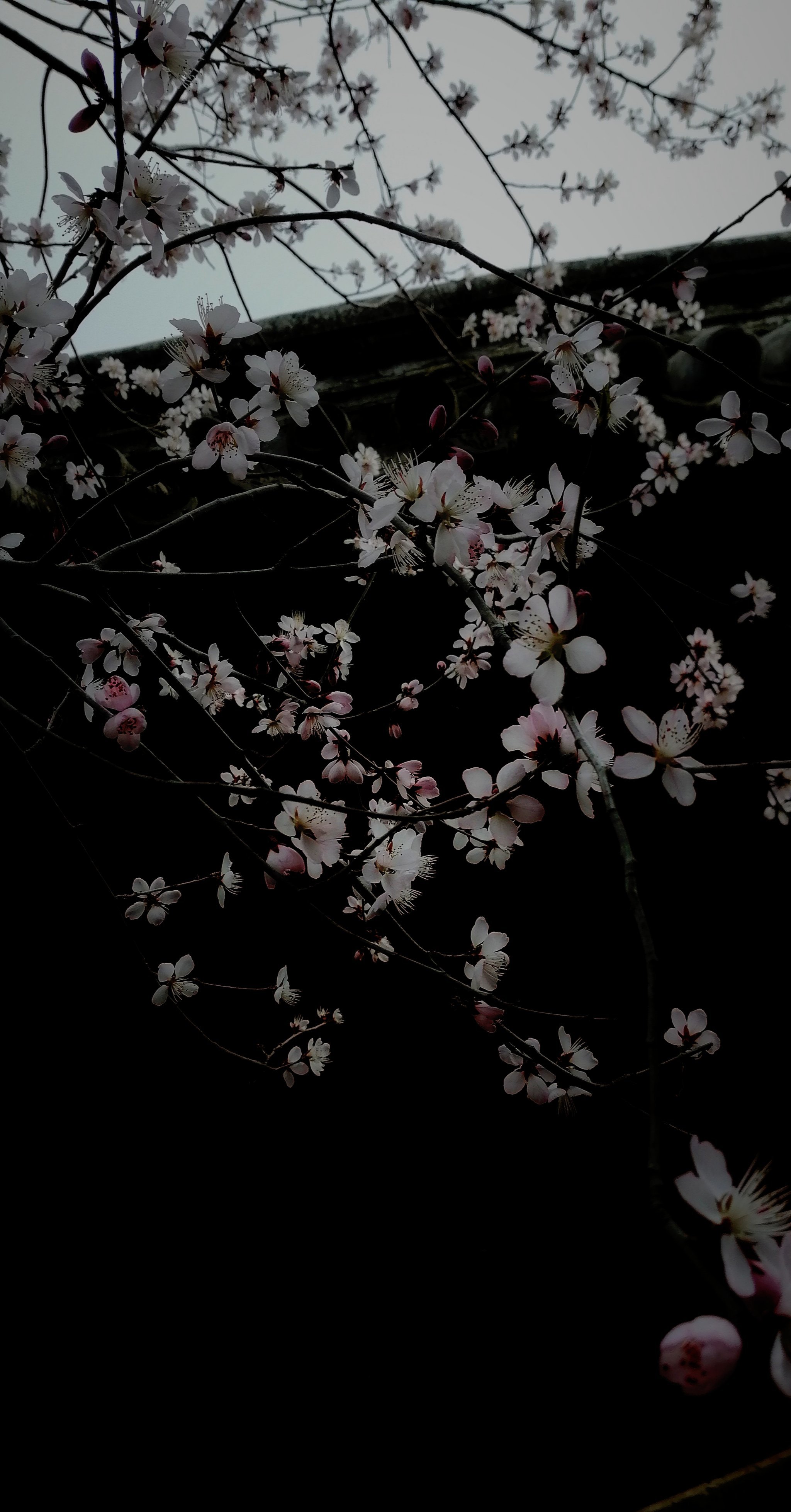 myo2手机版(my2ty下载)-第4张图片-QuickQ官网