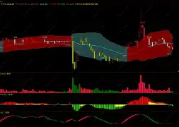 文华财经期货手机版(文华财经期货手机版下载)-第4张图片-QuickQ官网